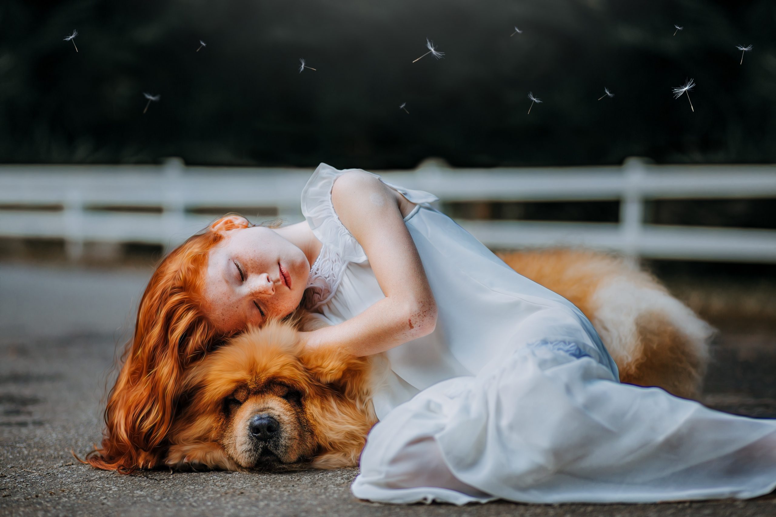Pet Photography: Why You Should Go With It?