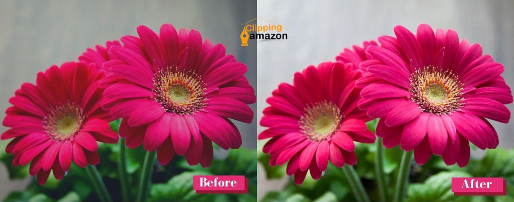 flower-photo-editing-services