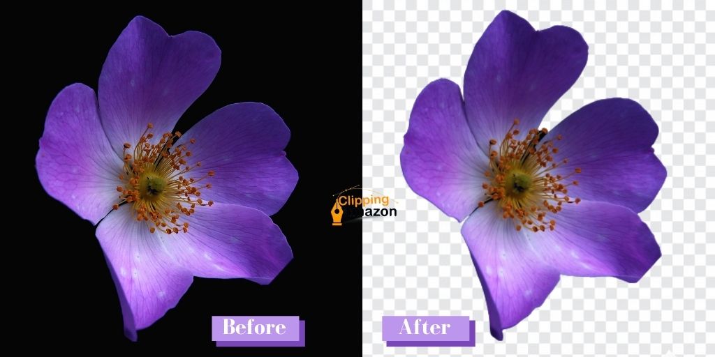 flower-photo-editing