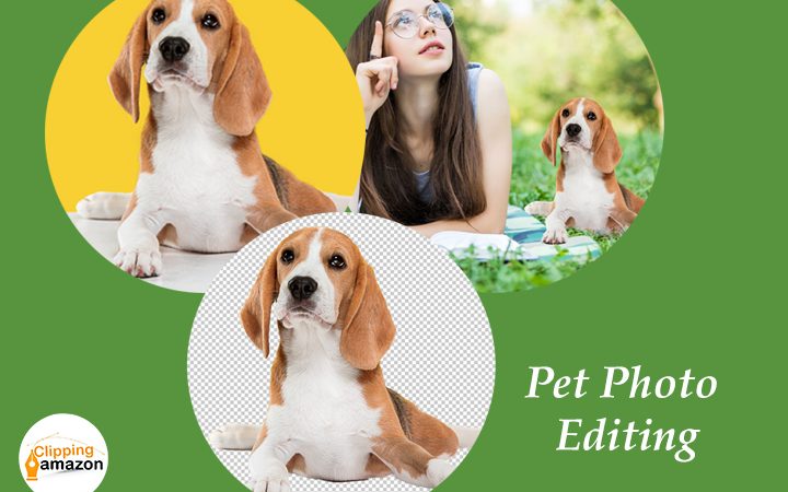 Pet Photo Editing And Retouching