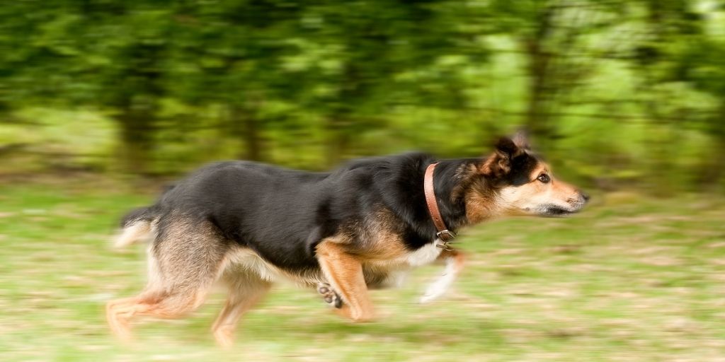 Motion-blur-photography-clipping-amazon