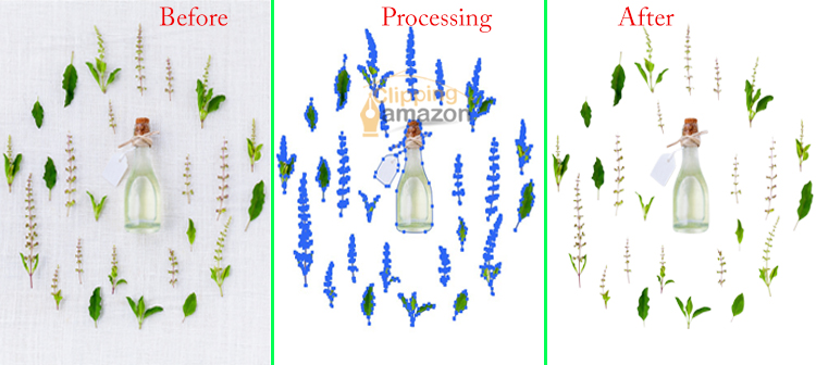 Clipping-Amazon-Clipping-Path-Service