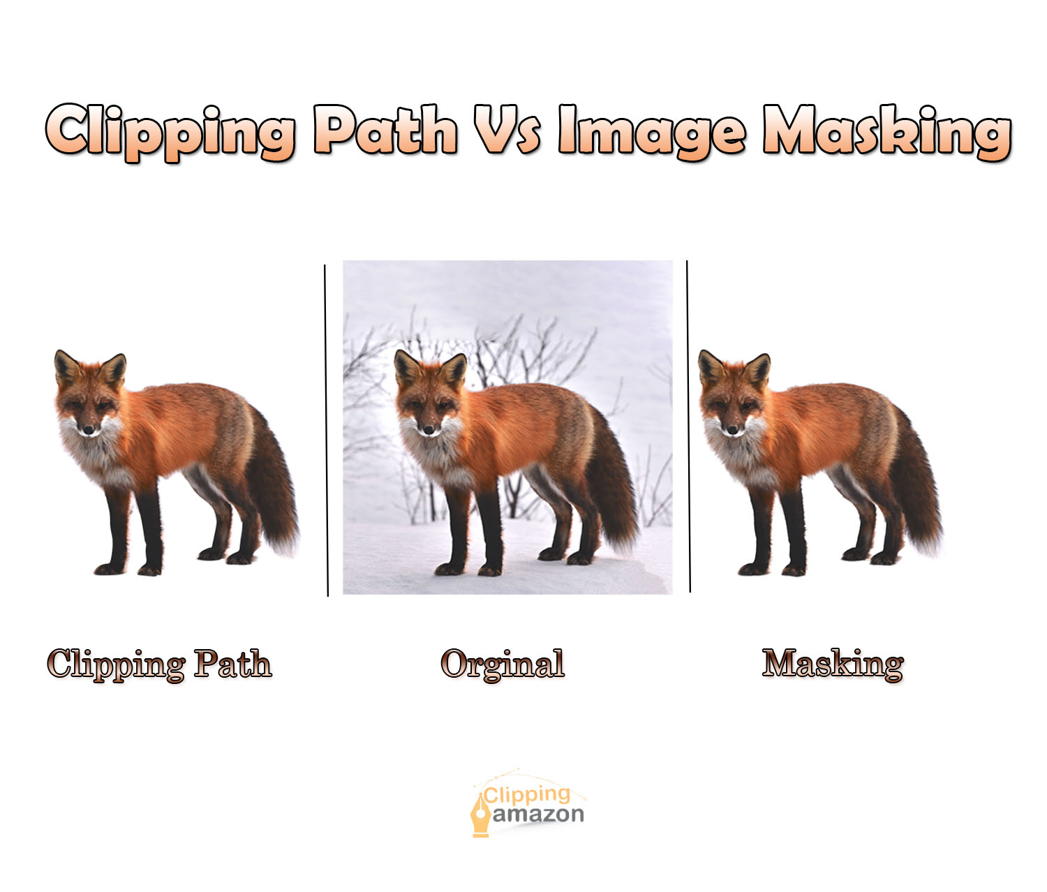 What is the Difference Between Clipping Path Vs Mask? [2021]