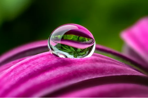 water-drop-photography-clipping-amazon