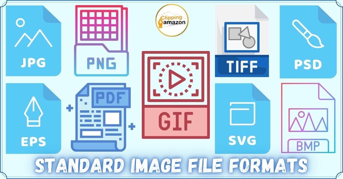 What Is The Image File Format?