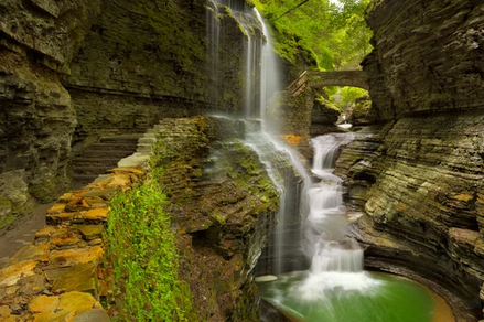 green-waterfall-clipping-amazon