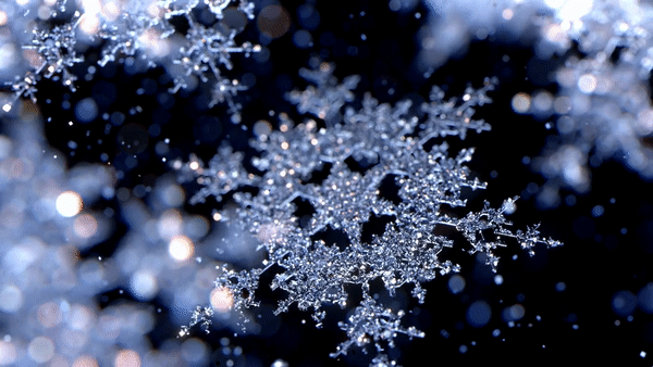 snowflake-macro-photography