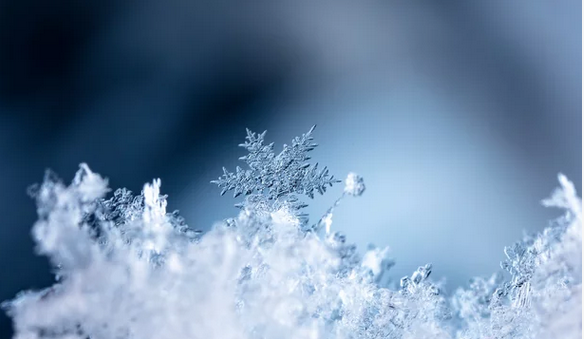 snowflake-macro-photography