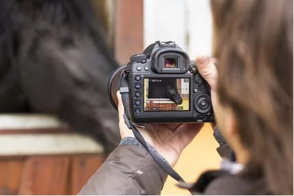 horse-photography-clipping-amazon