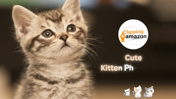 The Cutest Kitten Photoshoot Ideas