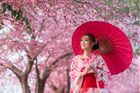 sakura-spring-photoshoot-clipping-amazon